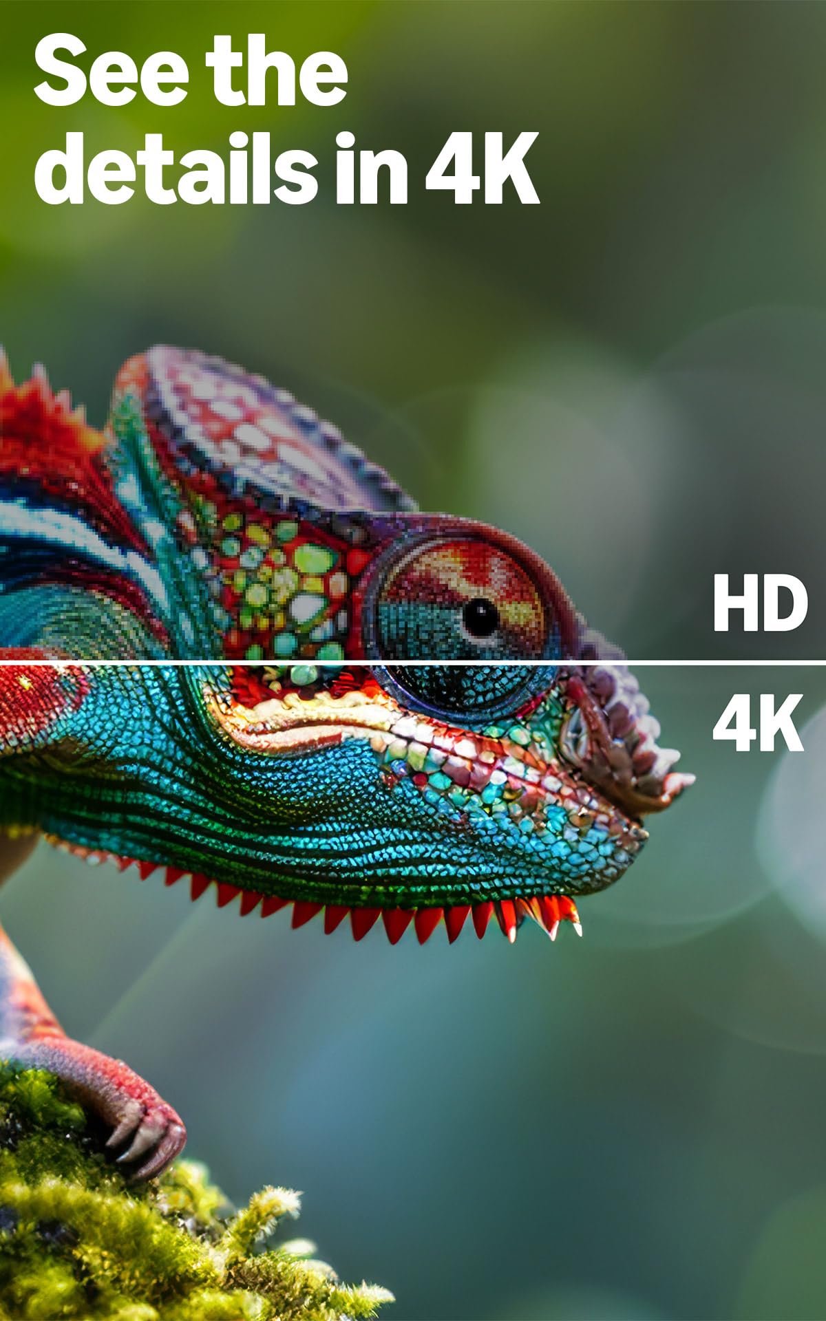 Amazon Fire TV 55" 4-Series (newest model), 4K Ultra HD smart TV with Alexa Remote, HDR10+, fast processor, Dolby Audio, Ambient Experience, free and live TV
