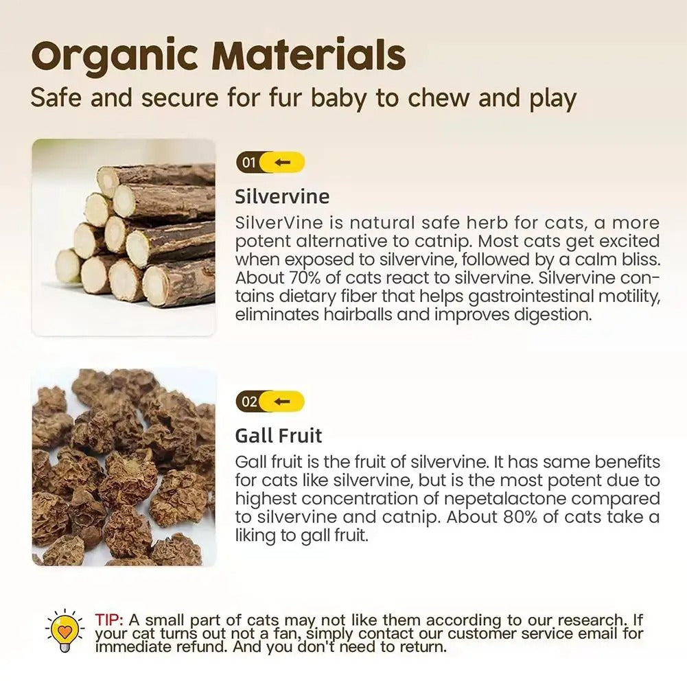 3 pack of natural cat dental sticks made from Silvervine and Gall Fruit, promoting dental health and safe chewing.