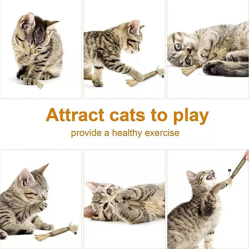 Three-pack of natural cat dental sticks with playful kittens engaging with the sticks, promoting healthy exercise.
