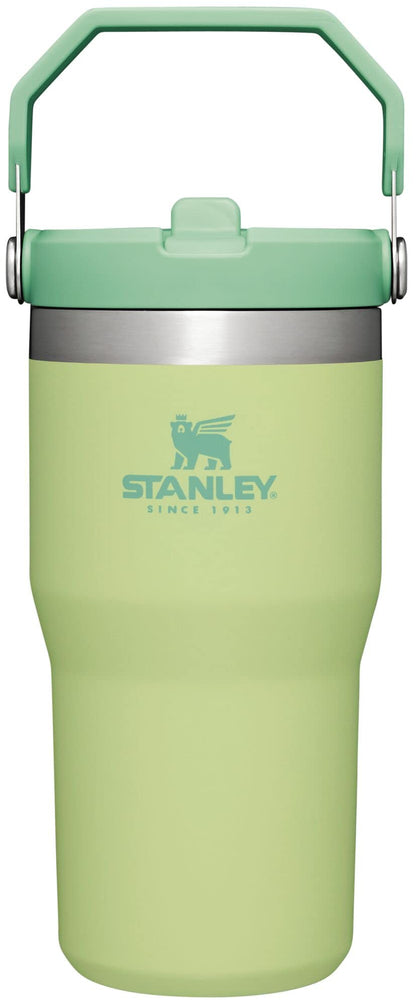 STANLEY IceFlow 2.0 Flip Straw Tumbler with Handle 30 oz | Twist On Lid and Flip Up Straw | Leak Resistant Water Bottle | Insulated Stainless Steel | BPA-Free | Twilight