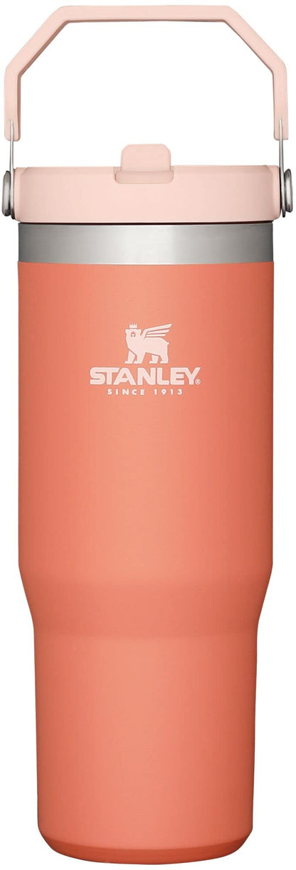 STANLEY IceFlow 2.0 Flip Straw Tumbler with Handle 30 oz | Twist On Lid and Flip Up Straw | Leak Resistant Water Bottle | Insulated Stainless Steel | BPA-Free | Twilight