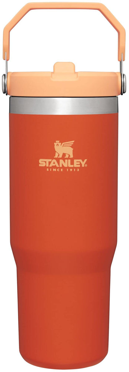 STANLEY IceFlow 2.0 Flip Straw Tumbler with Handle 30 oz | Twist On Lid and Flip Up Straw | Leak Resistant Water Bottle | Insulated Stainless Steel | BPA-Free | Twilight