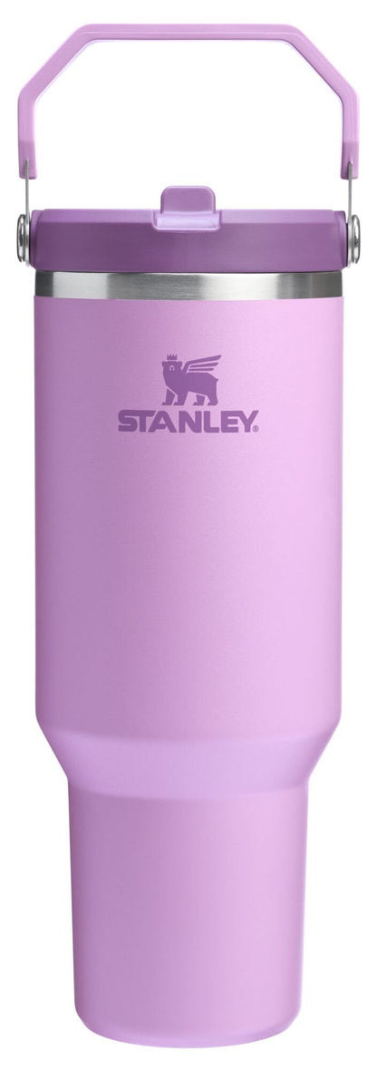 STANLEY IceFlow 2.0 Flip Straw Tumbler with Handle 30 oz | Twist On Lid and Flip Up Straw | Leak Resistant Water Bottle | Insulated Stainless Steel | BPA-Free | Twilight