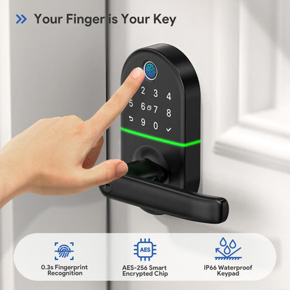 Smart Keypad Door Lock with Handle: NICE DIGI Keyless Entry Fingerprint Lock for Front/Interior Door, Electronic Digital Lock with Code, Easy Installation(Model X1)