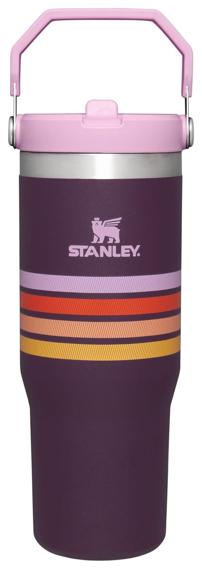 STANLEY IceFlow 2.0 Flip Straw Tumbler with Handle 30 oz | Twist On Lid and Flip Up Straw | Leak Resistant Water Bottle | Insulated Stainless Steel | BPA-Free | Twilight