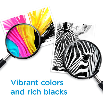 HP 63XL Black High-Yield Printer Ink Cartridge Printers | Works with DeskJet 1112, 2130, 3630;Envy 4510, 4520; OfficeJet 3830, 4650, 5200 | Eligible for Instant Ink | F6U64AN