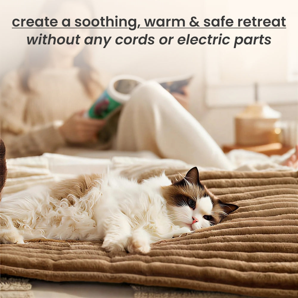 Self-warming pet mat with a cat lounging on it, designed for comfort without cords or electric parts.