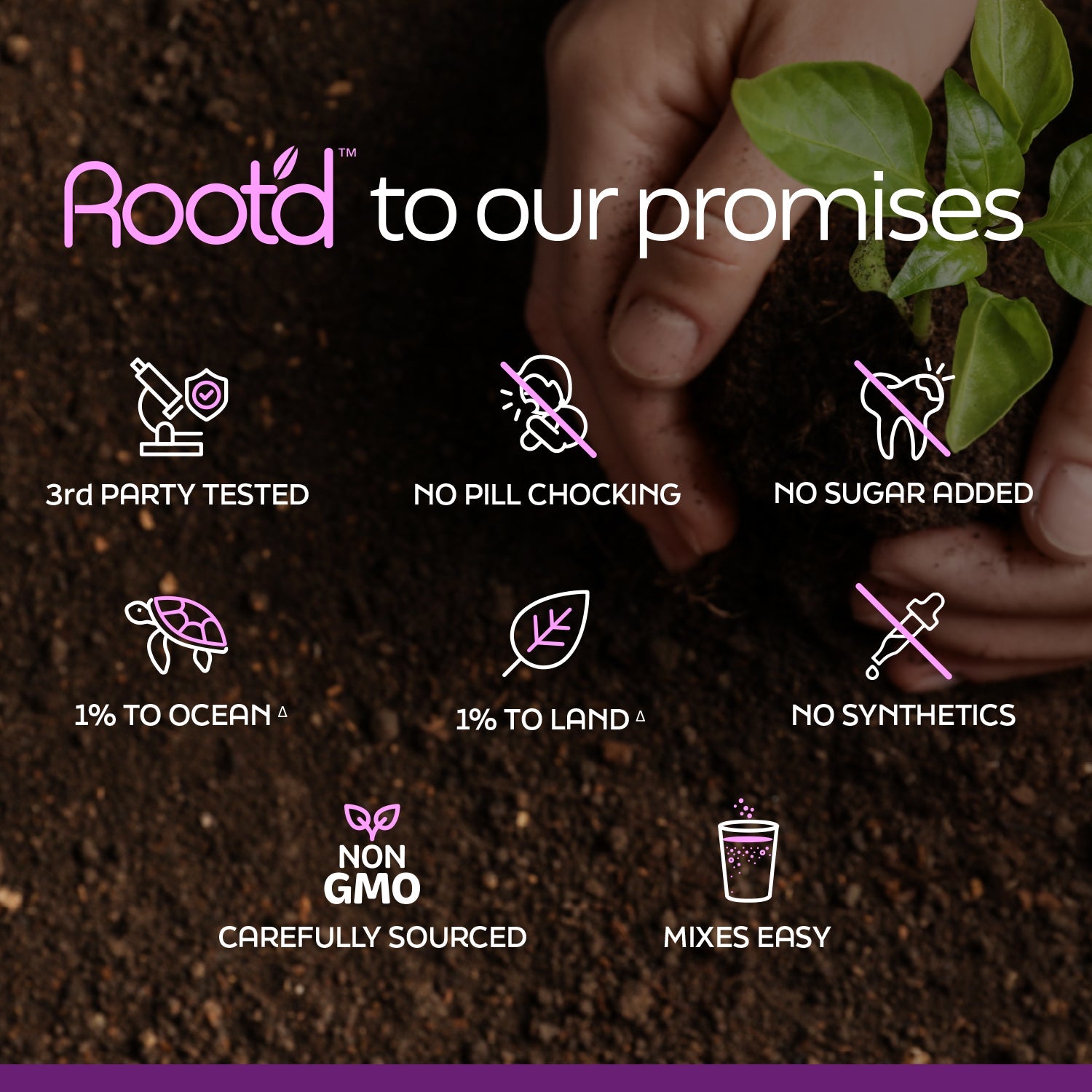 Growing Together Bundle - The Hydrating Multivitamin - For Future Mom &amp; Dad