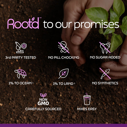 Growing Together Bundle - The Hydrating Multivitamin - For Future Mom &amp; Dad