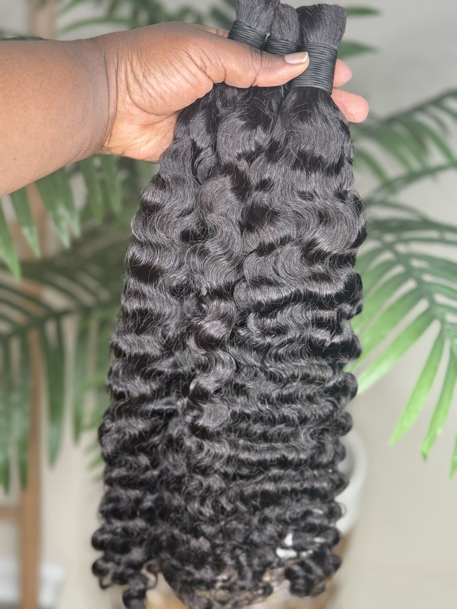 Burmese Curly