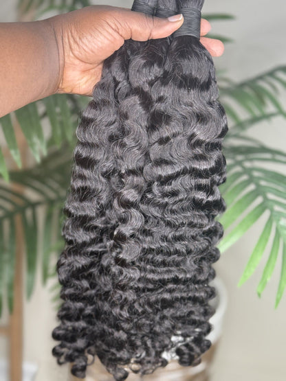 Burmese Curly
