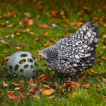 Chicken Snack Ball – 100% Recycled, Foraging &amp; Play Feeder