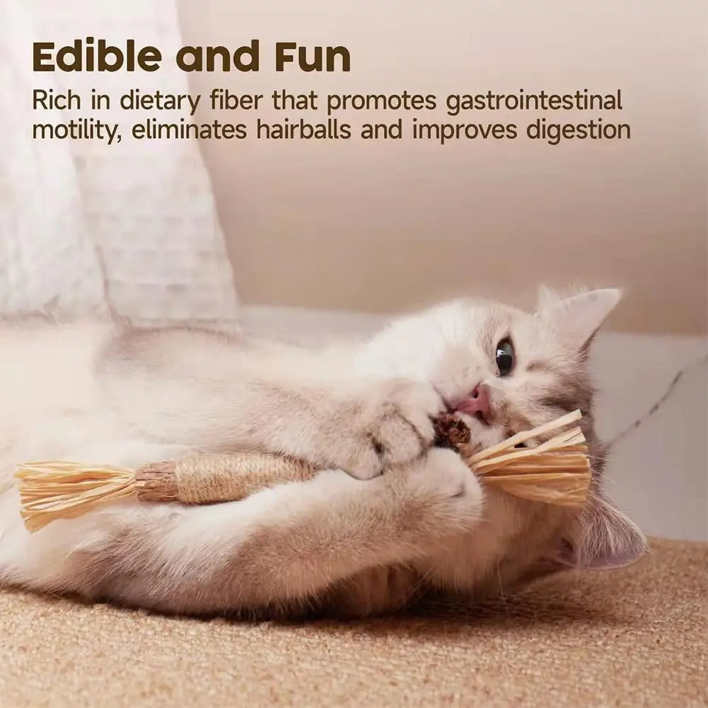 Natural cat dental sticks in a 3-pack, designed for fun and promoting digestion, with a cat playfully chewing on one.