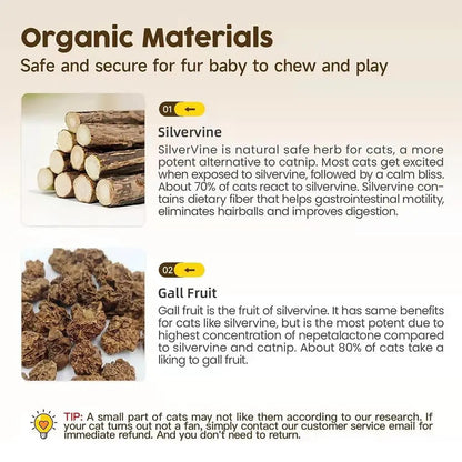3 pack of natural cat dental sticks made from Silvervine and Gall Fruit, promoting dental health and safe chewing.