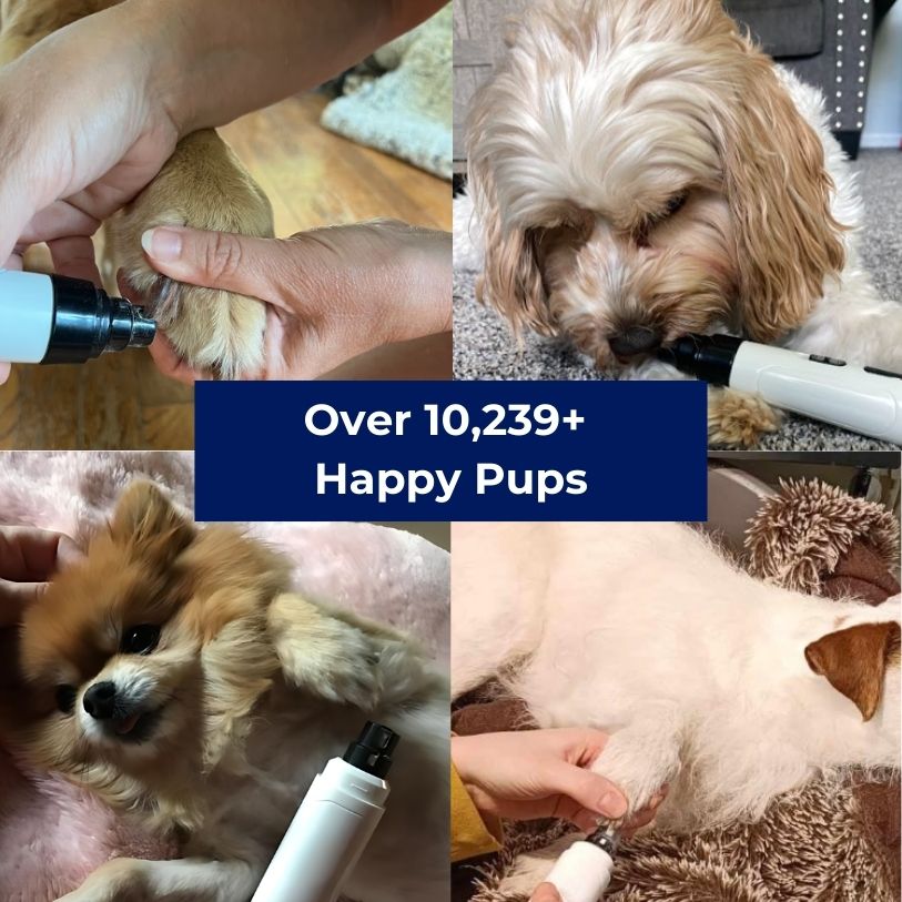 Silent Groom Pro grooming tool in use on various dogs, showcasing happy pets and satisfied owners.
