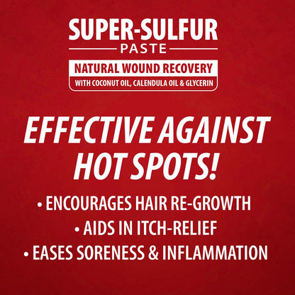 Jeffers Super-Sulfur Skin &amp; Wound Healing Paste for Pets, Horses, &amp; Livestock