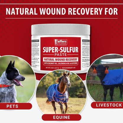 Jeffers Super-Sulfur Skin &amp; Wound Healing Paste for Pets, Horses, &amp; Livestock