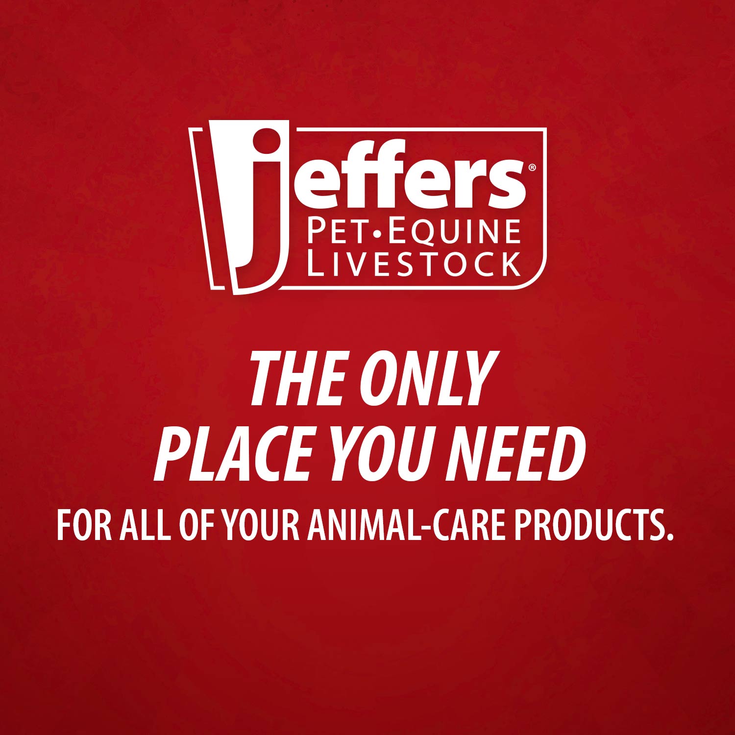 Jeffers Super-Sulfur Skin &amp; Wound Healing Paste for Pets, Horses, &amp; Livestock